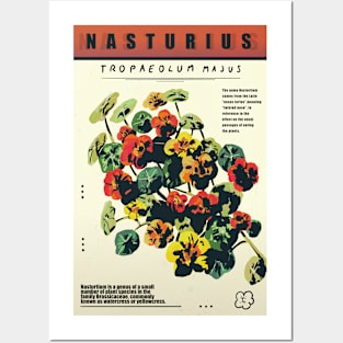 Nasturius Posters and Art